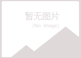 凌河区夏岚能源有限公司